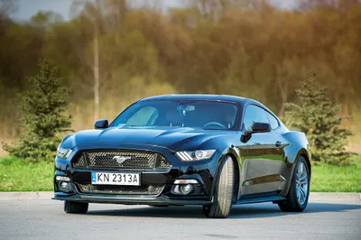 Wypożyczalnia samochodów "AJM car4rent"